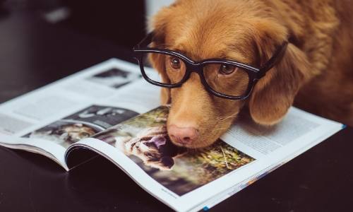 The biggest mistake you'll make as a self-publisher